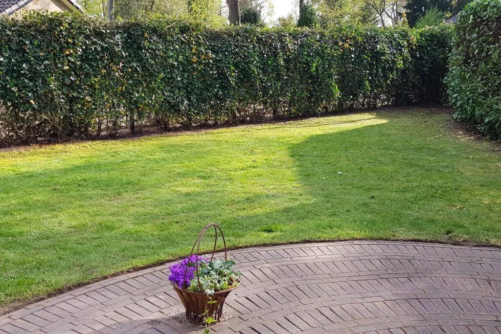 4-6 Persoons Vakantiewoning Met Eigen Tuin Villa Bakkeveen Exterior foto